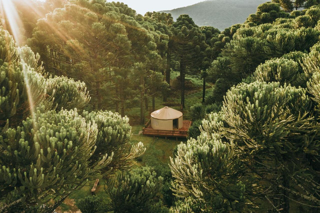 Estancia Las Araucarias Canela Exteriör bild