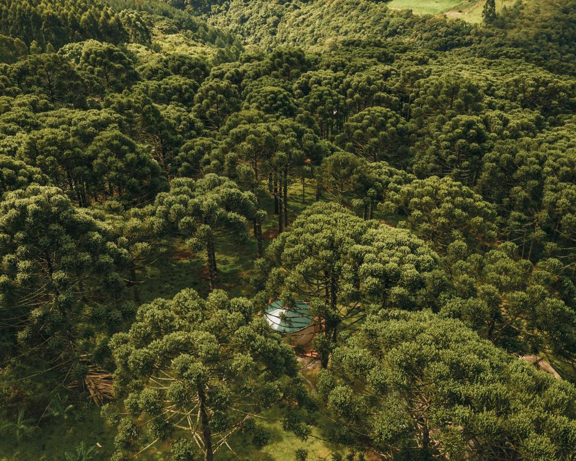 Estancia Las Araucarias Canela Exteriör bild